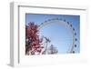 The London Eye on a Bright Sunny Day, London, England, United Kingdom, Europe-Charlie Harding-Framed Photographic Print