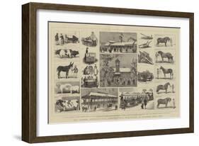 The London International Agricultural Exhibition at Kilburn, July 1879-Alfred Chantrey Corbould-Framed Giclee Print