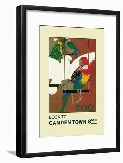 The London Zoo: Exotic Birds-S.t.c. Weeks-Framed Art Print