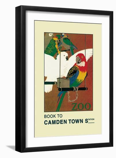 The London Zoo: Exotic Birds-S.t.c. Weeks-Framed Art Print