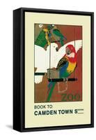 The London Zoo: Exotic Birds-S.t.c. Weeks-Framed Stretched Canvas