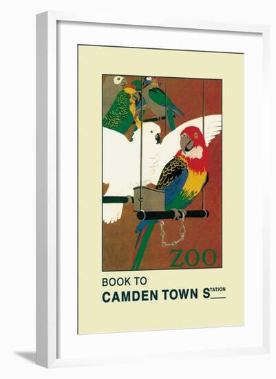 The London Zoo: Exotic Birds-S.t.c. Weeks-Framed Art Print