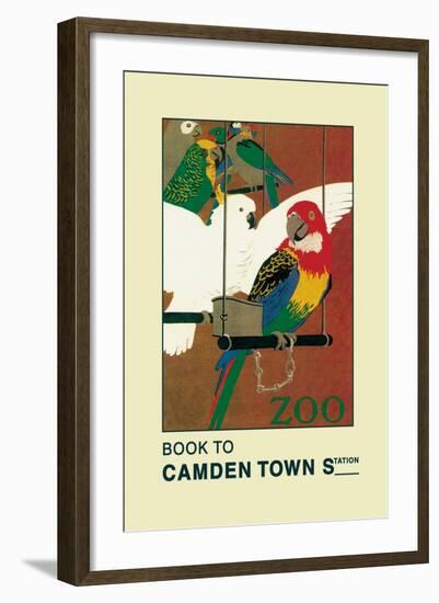 The London Zoo: Exotic Birds-S.t.c. Weeks-Framed Art Print