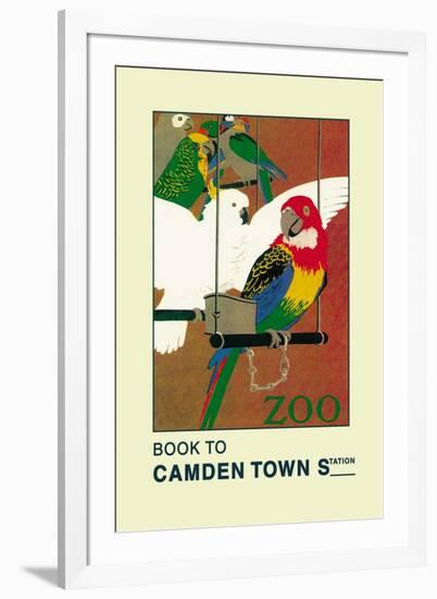 The London Zoo: Exotic Birds-S.t.c. Weeks-Framed Art Print