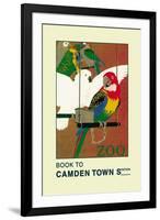 The London Zoo: Exotic Birds-S.t.c. Weeks-Framed Art Print