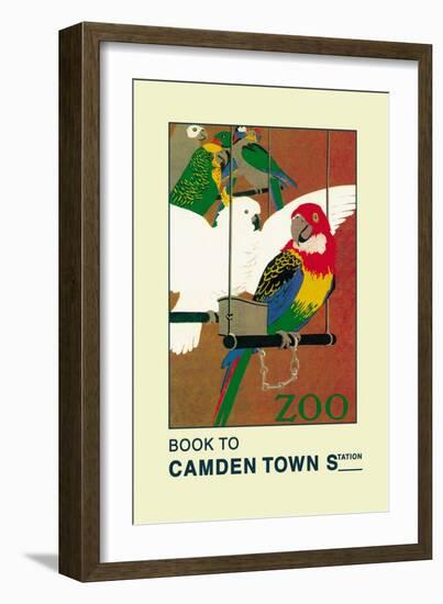 The London Zoo: Exotic Birds-S.t.c. Weeks-Framed Art Print