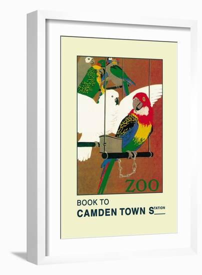 The London Zoo: Exotic Birds-S.t.c. Weeks-Framed Art Print