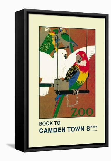 The London Zoo: Exotic Birds-S.t.c. Weeks-Framed Stretched Canvas