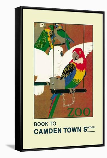 The London Zoo: Exotic Birds-S.t.c. Weeks-Framed Stretched Canvas