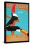 The London Zoo: South American Toucans-Tony Castle-Stretched Canvas