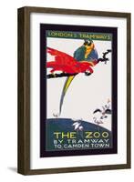 The London Zoo: The Macaw-Van Jones-Framed Art Print