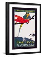 The London Zoo: The Macaw-Van Jones-Framed Art Print