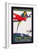 The London Zoo: The Macaw-Van Jones-Framed Art Print