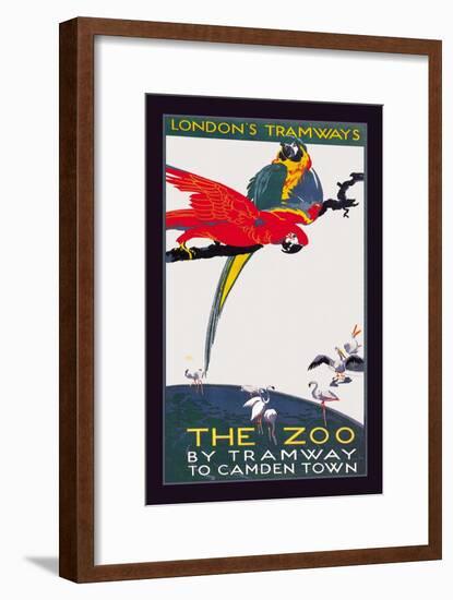 The London Zoo: The Macaw-Van Jones-Framed Art Print