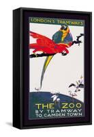 The London Zoo: The Macaw-Van Jones-Framed Stretched Canvas