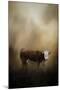 The Lone Calf-Jai Johnson-Mounted Giclee Print