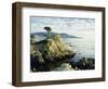 The Lone Cypress Tree on the Coast, Carmel, California, USA-Michael Howell-Framed Photographic Print