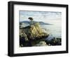 The Lone Cypress Tree on the Coast, Carmel, California, USA-Michael Howell-Framed Photographic Print