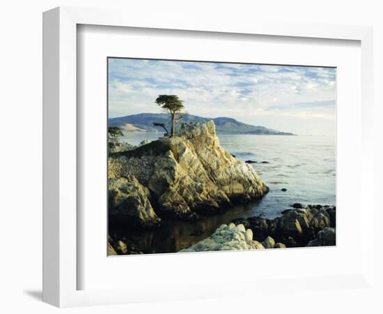 The Lone Cypress Tree on the Coast, Carmel, California, USA-Michael Howell-Framed Photographic Print
