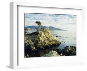 The Lone Cypress Tree on the Coast, Carmel, California, USA-Michael Howell-Framed Photographic Print