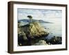 The Lone Cypress Tree on the Coast, Carmel, California, USA-Michael Howell-Framed Photographic Print