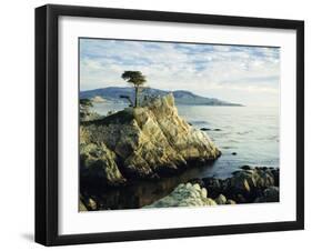 The Lone Cypress Tree on the Coast, Carmel, California, USA-Michael Howell-Framed Photographic Print