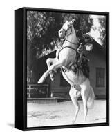 The Lone Ranger-null-Framed Stretched Canvas