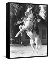 The Lone Ranger-null-Framed Stretched Canvas