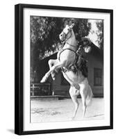 The Lone Ranger-null-Framed Photo