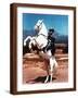 Brown Frame