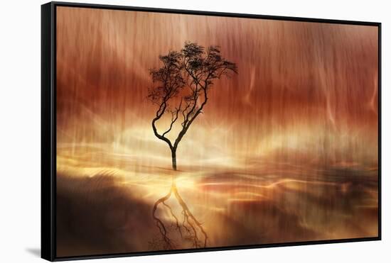 The lonely tree-Heidi Westum-Framed Stretched Canvas