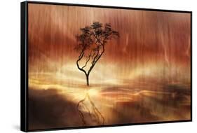 The lonely tree-Heidi Westum-Framed Stretched Canvas