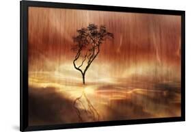The lonely tree-Heidi Westum-Framed Photographic Print