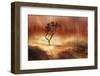 The lonely tree-Heidi Westum-Framed Photographic Print