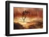 The lonely tree-Heidi Westum-Framed Photographic Print