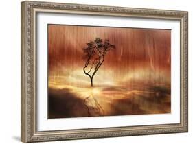 The lonely tree-Heidi Westum-Framed Photographic Print