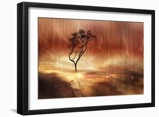 The lonely tree-Heidi Westum-Framed Photographic Print