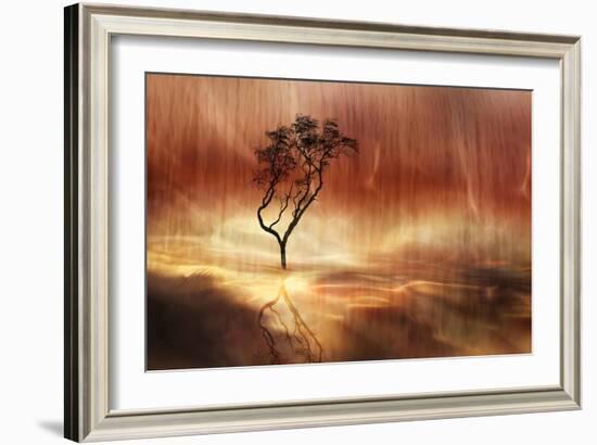 The lonely tree-Heidi Westum-Framed Photographic Print