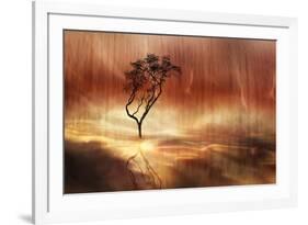 The lonely tree-Heidi Westum-Framed Photographic Print