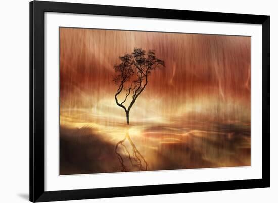 The lonely tree-Heidi Westum-Framed Photographic Print