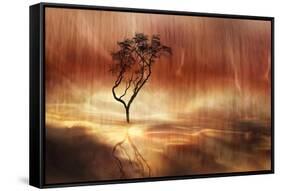 The lonely tree-Heidi Westum-Framed Stretched Canvas