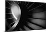 The Long Dark-Paulo Abrantes-Mounted Photographic Print