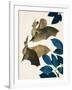 The Long-Eared Bat-Kenneth Lilly-Framed Giclee Print