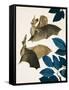 The Long-Eared Bat-Kenneth Lilly-Framed Stretched Canvas