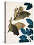 The Long-Eared Bat-Kenneth Lilly-Stretched Canvas