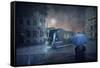 The Long Goodbye 5-Adrian Donoghue-Framed Stretched Canvas
