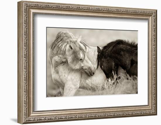 The Long Goodbye-Lisa Dearing-Framed Photographic Print