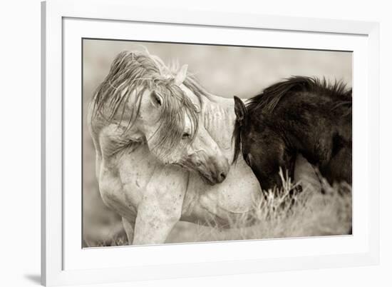 The Long Goodbye-Lisa Dearing-Framed Photographic Print