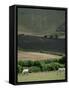 The Long Man, Wilmington, East Sussex, England, United Kingdom-Walter Rawlings-Framed Stretched Canvas