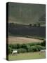 The Long Man, Wilmington, East Sussex, England, United Kingdom-Walter Rawlings-Stretched Canvas